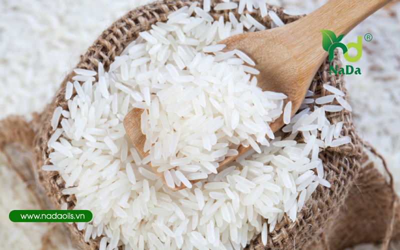Cẩm nang hữu ích cách đuổi kiến ra khỏi gạo đơn giản và hiệu quả