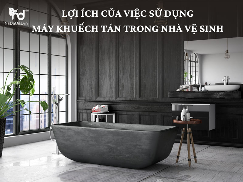 giai-phap-khu-mui-nha-ve-sinh-1.jpg 