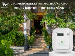 bonyque-danang.jpg