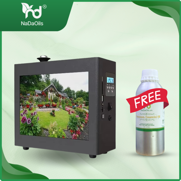 Máy khuếch tán mùi hương 2 in 1 – C-E074
