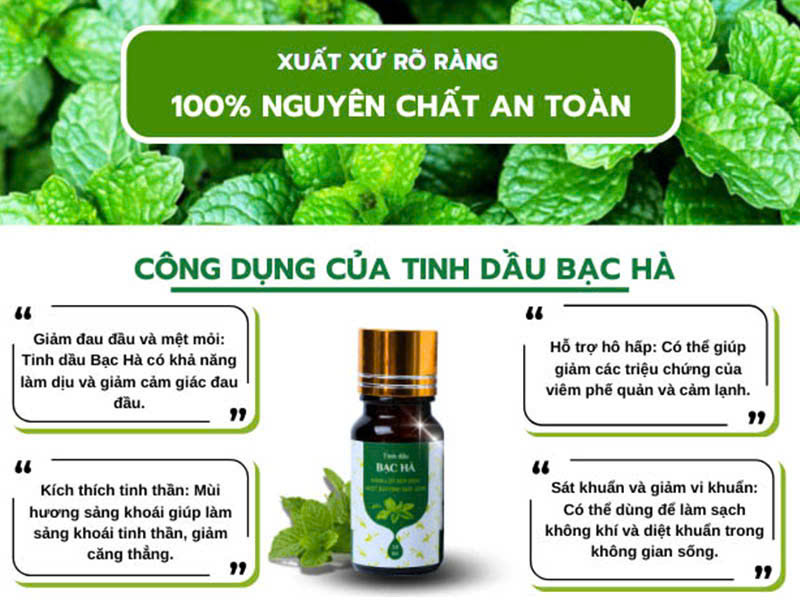bac-ha.jpg
