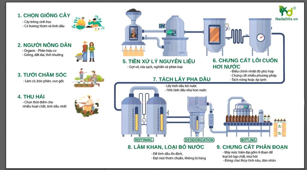 Phương pháp chưng cất tinh dầu 9 đoạn
