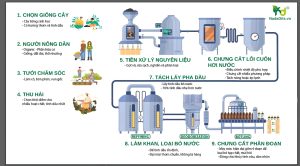Phương pháp chưng cất tinh dầu 9 đoạn