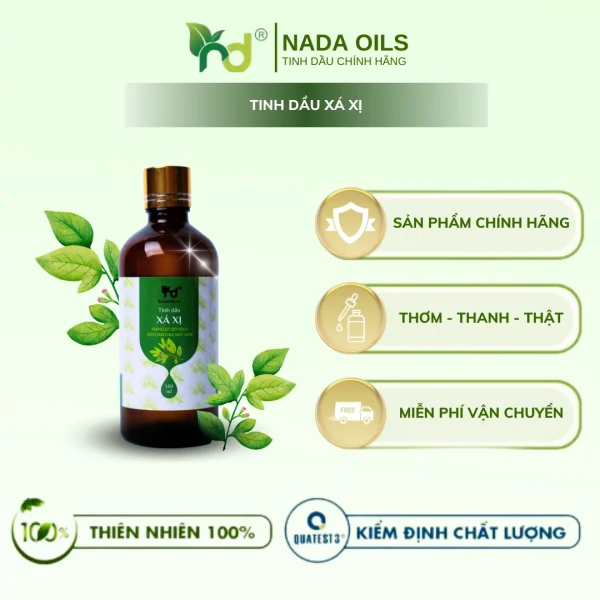 Tinh Dầu Xá Xị Nguyên Chất 100% Thiên Nhiên Selasian Wood - Hình ảnh 4