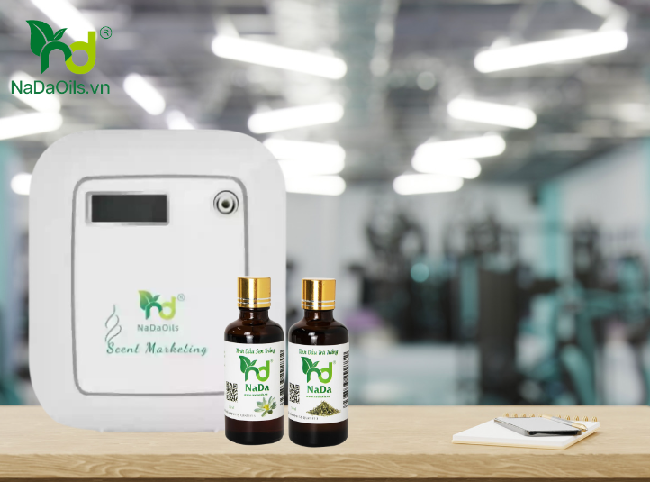 Xông tinh dầu có tốt không