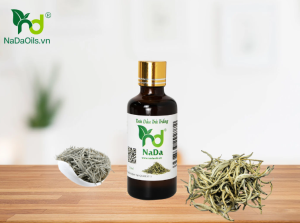 Công dụng của tinh dầu trà trắng