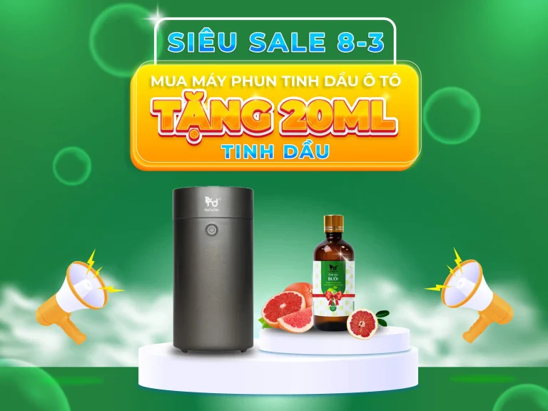 may-xong-tinh-dau-oto