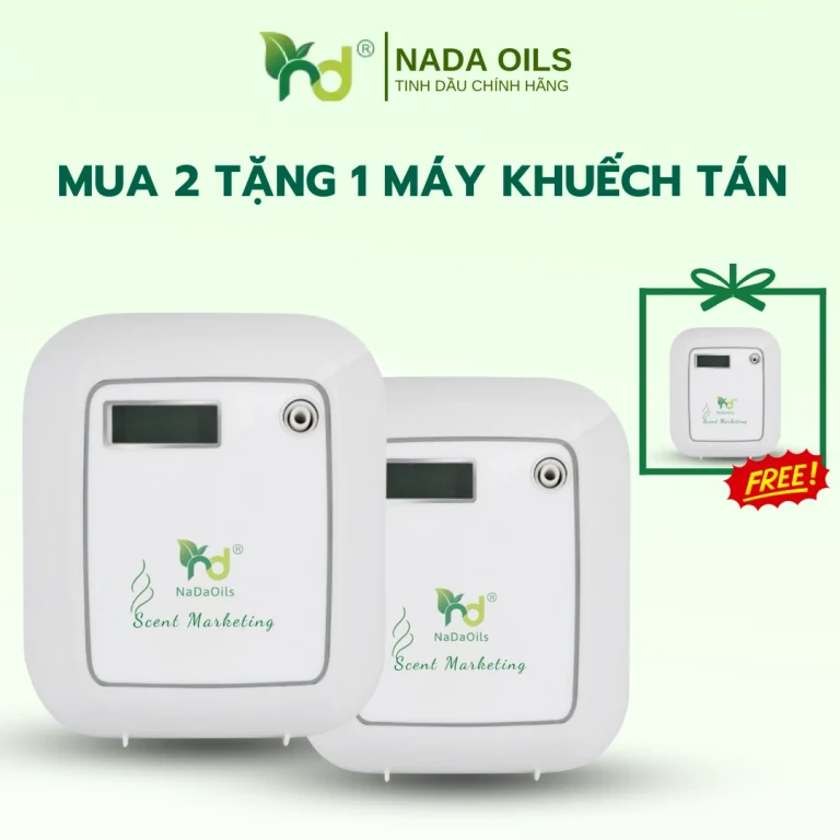 mua-2-tang-1-may