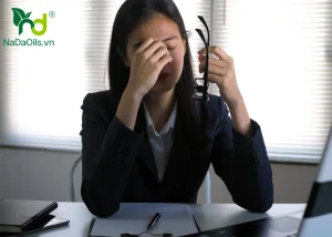 Công Dụng Của Tinh Dầu