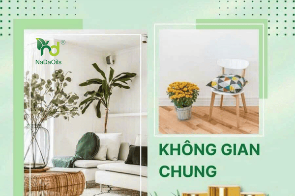 tinh-dau-cho-phong-khach