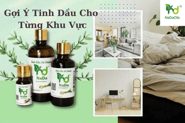 tinh-dau-cho-phong-khach