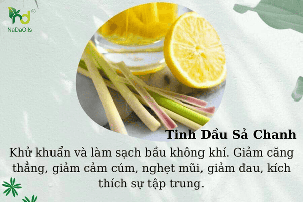 tinh-dau-cho-toilet