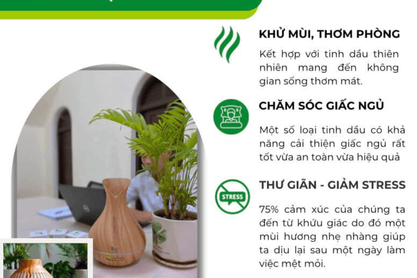 mui-huong-cho-khach-san