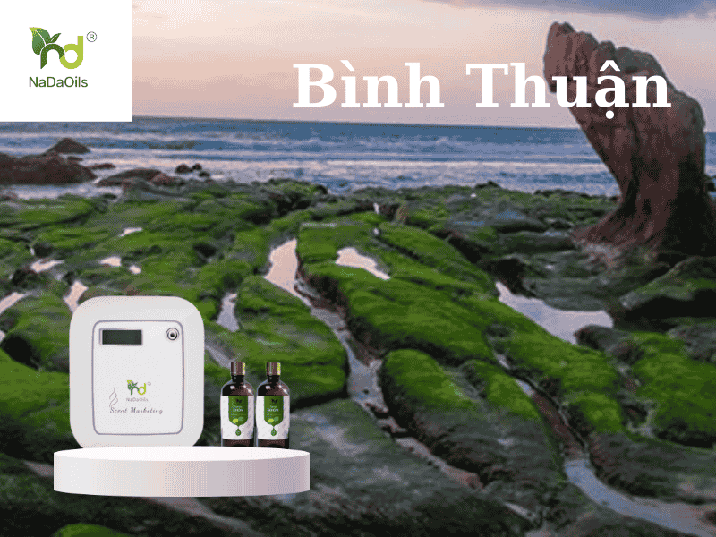 tinh-dau-tot-tai-binh-thuan