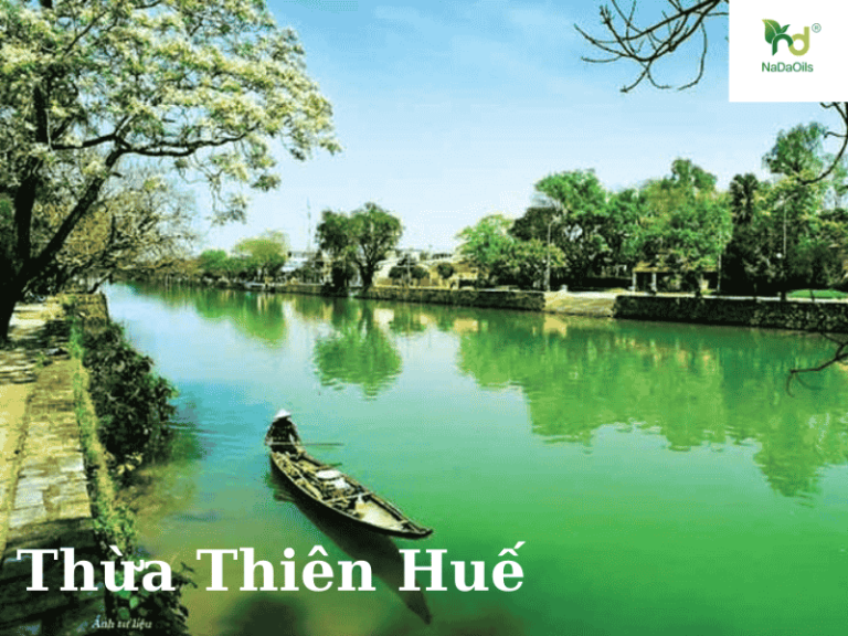 HÀ TĨNH (7)