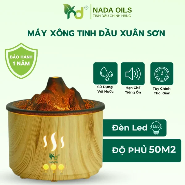 may-xong-tinh-dau-xuan-son-1-1