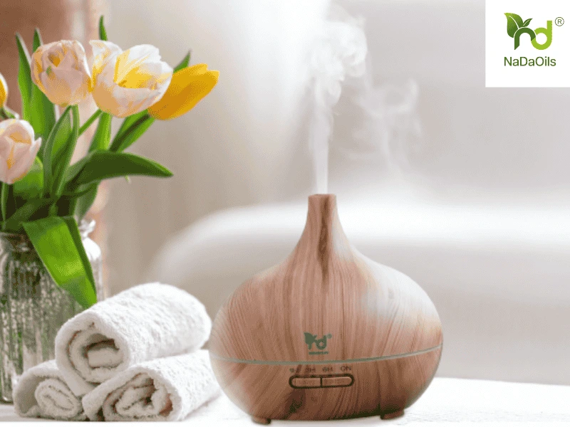 các loại tinh dầu tốt cho sức khỏe 