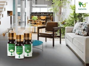 cửa hàng tinh dầu nada oils