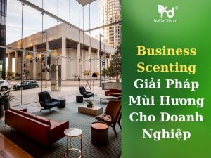business-scenting-la-gi-nadaoils