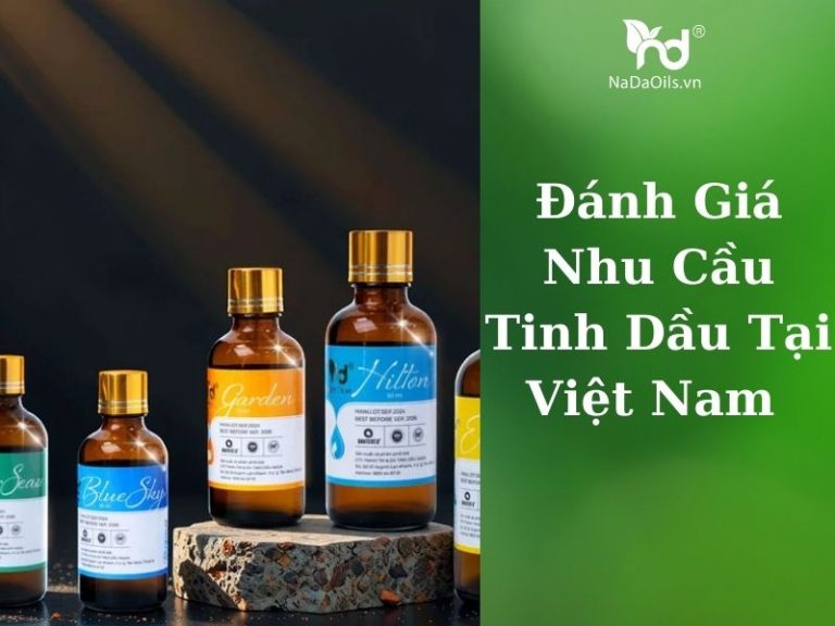 danh-gia-thi-truong-tinh-dau