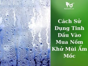 tinh-dau-mua-nom-nadaoils