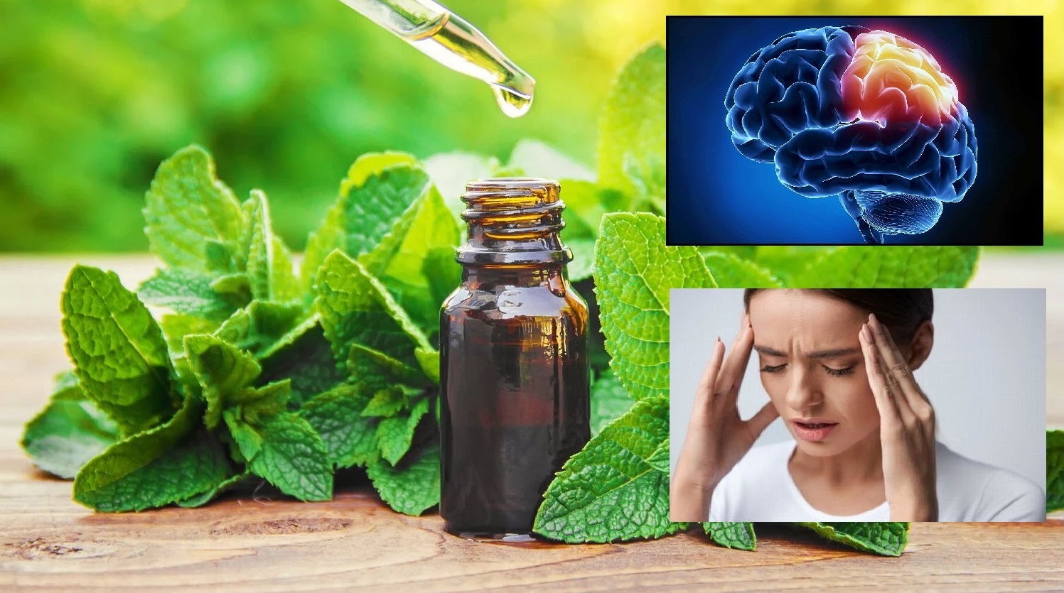 Tinh dầu bạc hà có tác dụng giảm đau, lưu thông máu, giảm căng thẳng