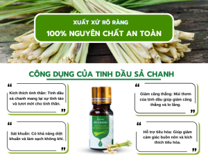 Tinh Dầu Sả Chanh Của Nada Oils