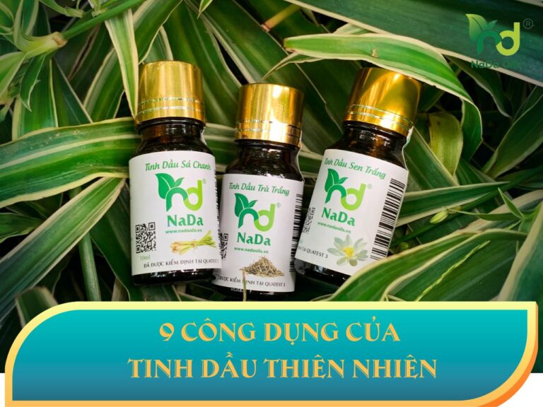 Công Dụng Của Tinh Dầu