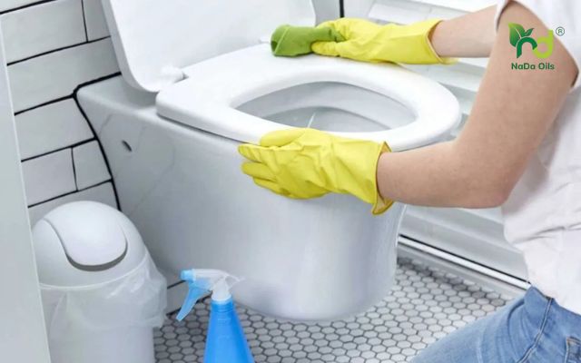 cách khử mùi khai nước tiểu 