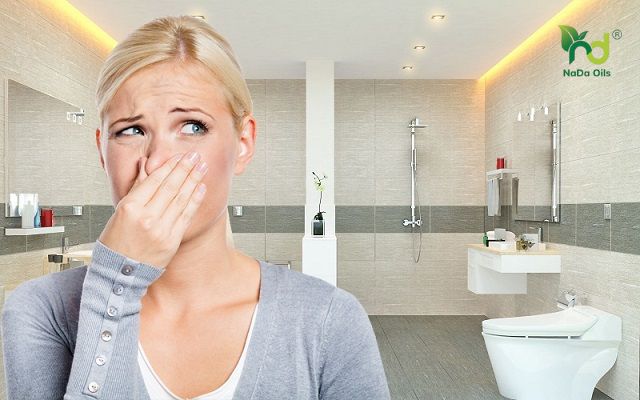 khử mùi khai nước tiểu 