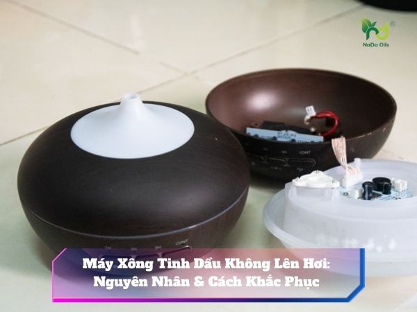 Máy Xông Tinh Dầu Không Lên Hơi