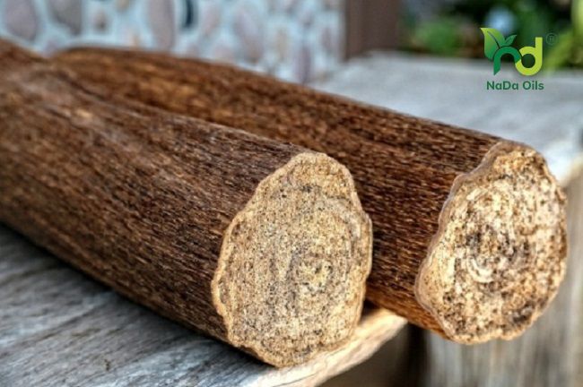 tác dụng của tinh dầu trầm hương 