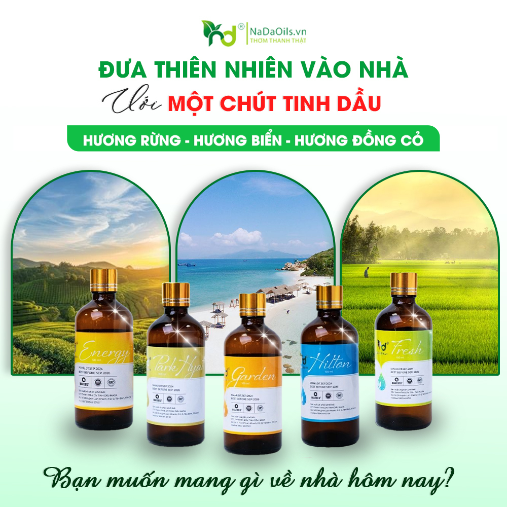 Sự khác biệt giữa tinh dầu Mix và tinh dầu đơn hương
