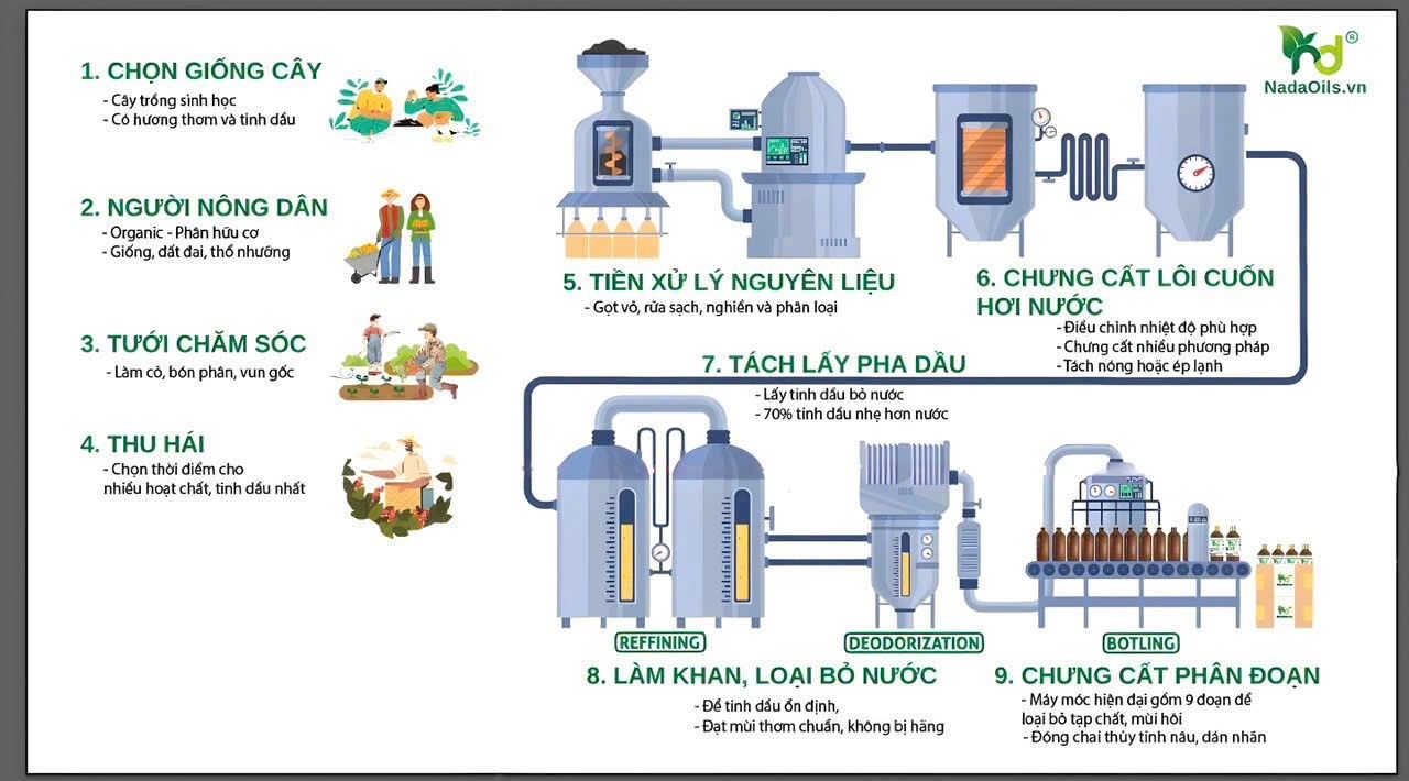 Tinh dầu Mix cao cấp cho spa