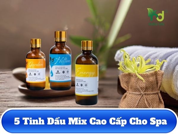 5 Tinh dầu Mix cao cấp cho spa: Bí quyết giữ chân khách hàng