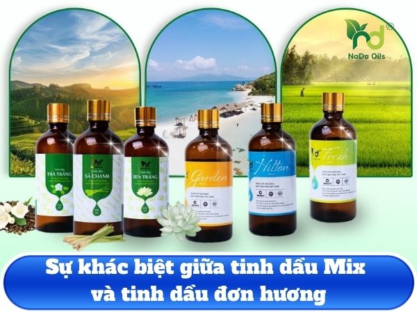 Sự khác biệt giữa tinh dầu Mix và tinh dầu đơn hương