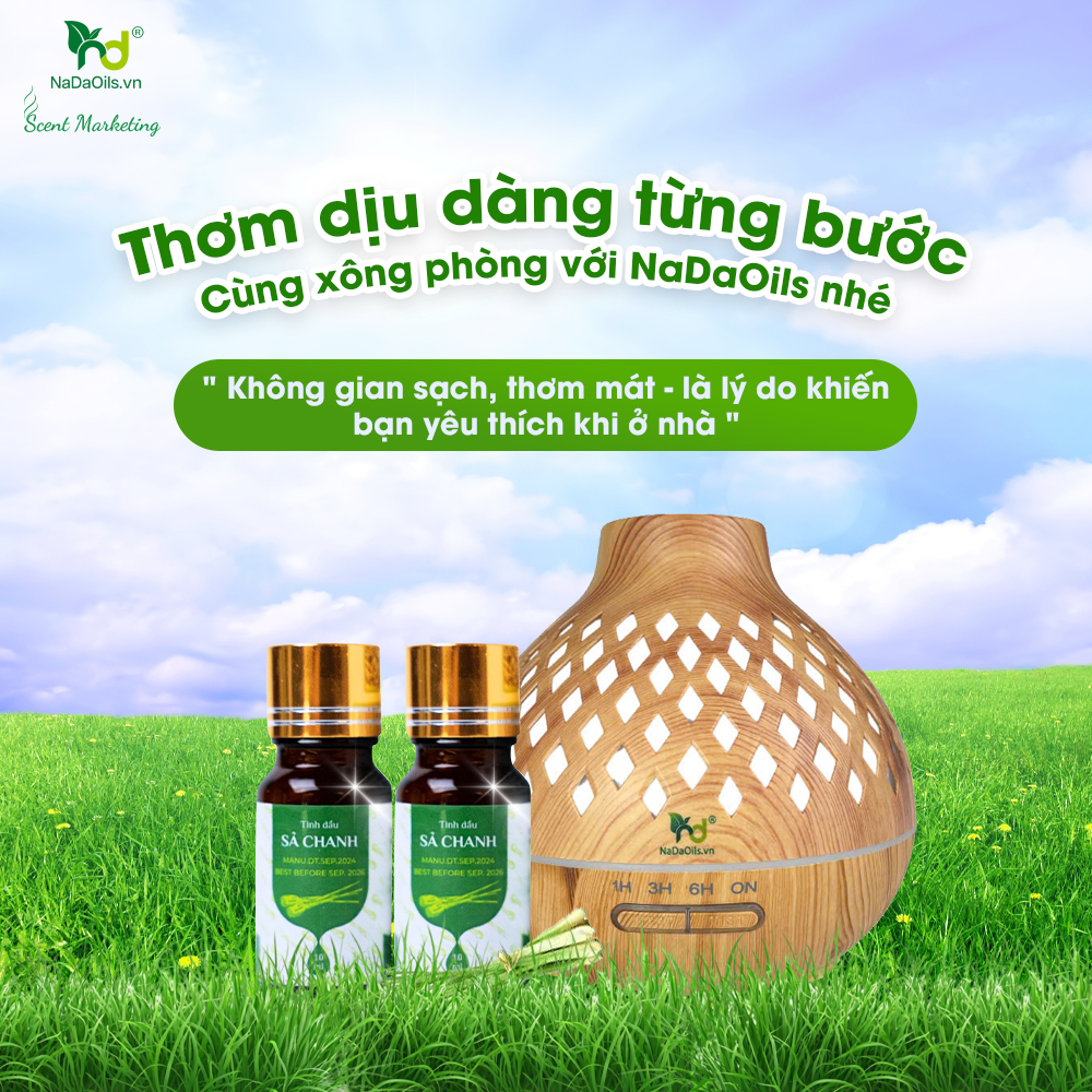 5 tinh dầu kháng khuẩn mạnh mẽ