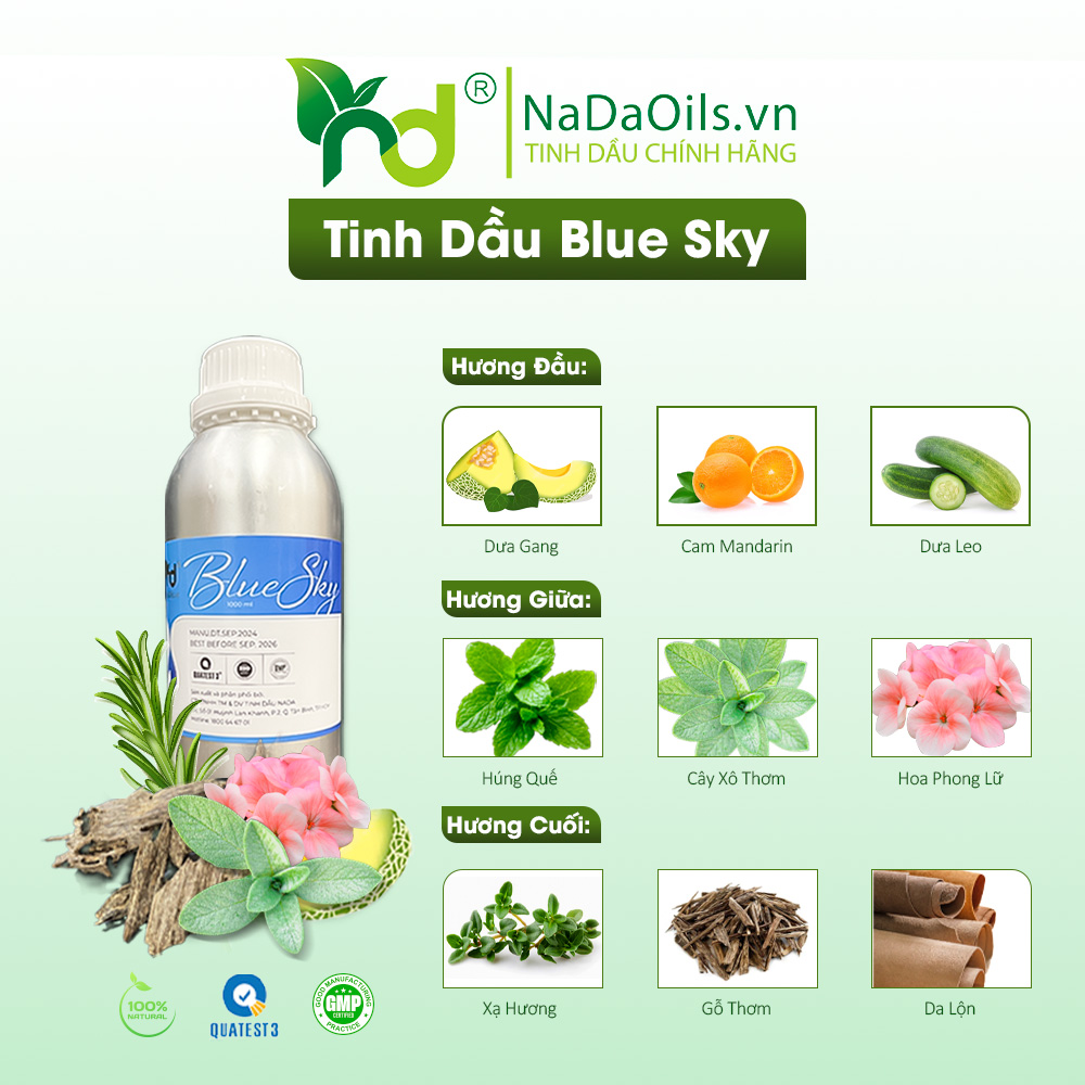 Công Thức Pha Trộn Tinh Dầu Mix