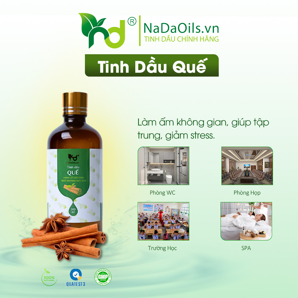 5 tinh dầu kháng khuẩn mạnh mẽ