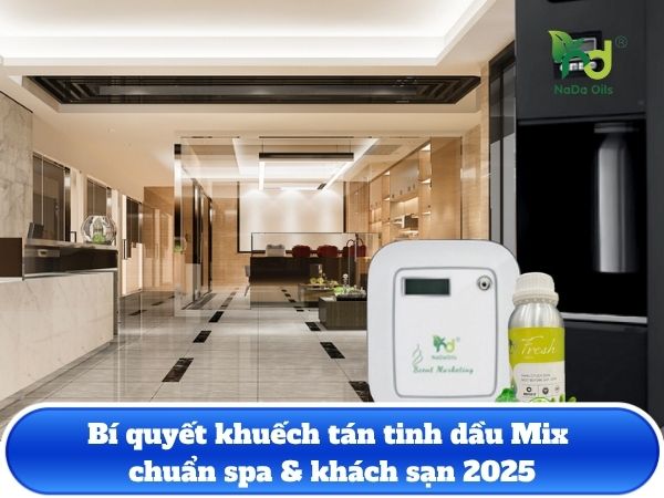 Bí quyết khuếch tán tinh dầu Mix chuẩn spa & khách sạn 2025