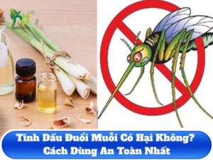 Tinh dầu đuổi muỗi có hại không?
