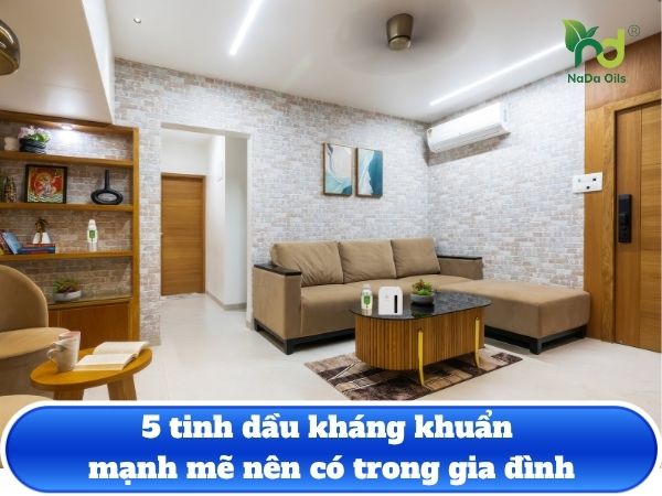 5 tinh dầu kháng khuẩn mạnh mẽ