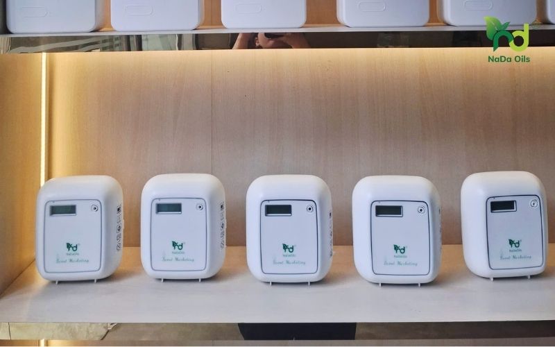 7 Tác hại của tinh dầu kém chất lượng bạn cần biết ngay