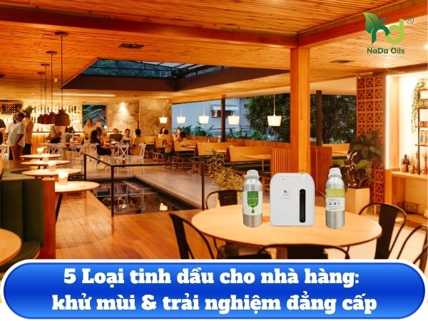 5 Loại tinh dầu cho nhà hàng: khử mùi & trải nghiệm đẳng cấp