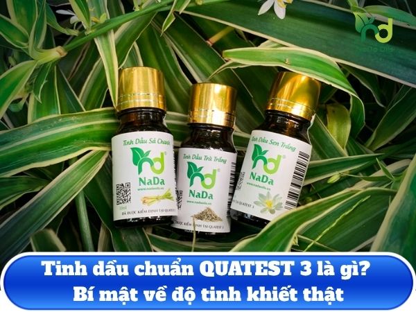 Tinh dầu chuẩn QUATEST 3 là gì? Bí mật về độ tinh khiết thật
