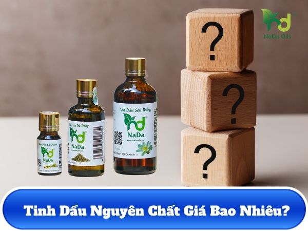Tinh Dầu Nguyên Chất Giá Bao Nhiêu?
