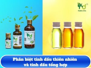 Phân biệt tinh dầu thiên nhiên và tinh dầu tổng hợp