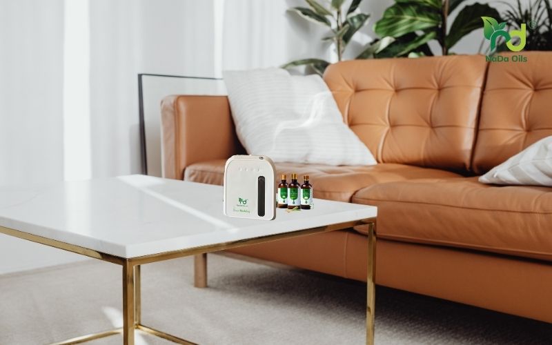 Cách Khử Mùi Thuốc Lá Trong Phòng Hiệu Quả