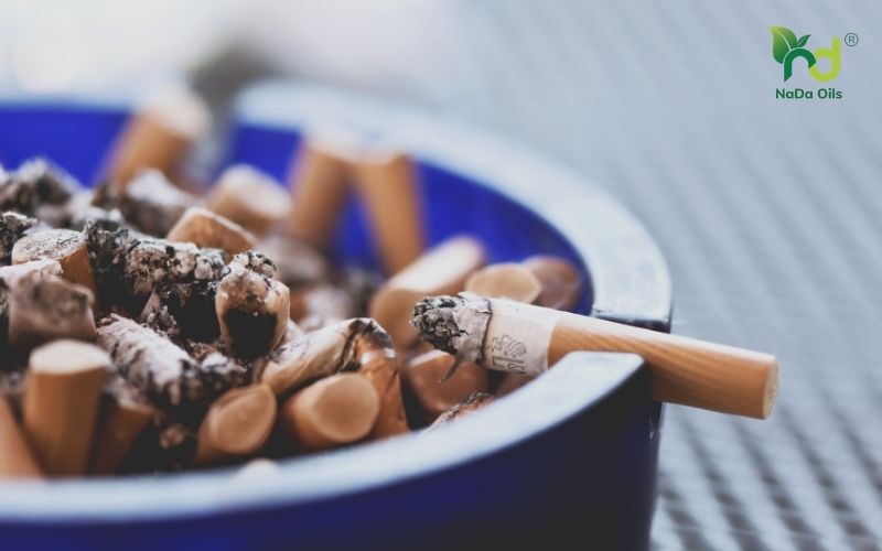 Cách Khử Mùi Thuốc Lá Trong Phòng Hiệu Quả