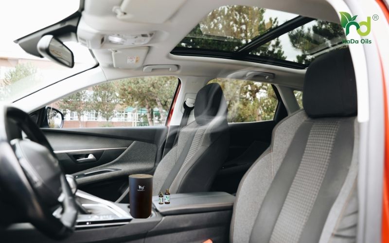 cách xử lý mùi hôi trên xe ô tô